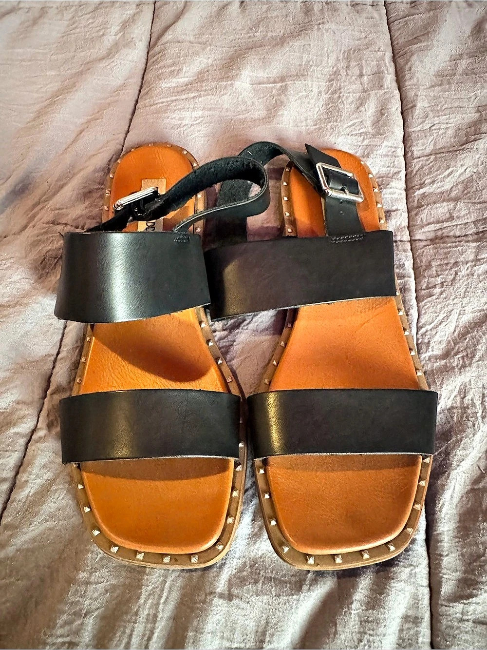 Steve Madden Tides Studded Strappy Flat Sandal Black & Brown